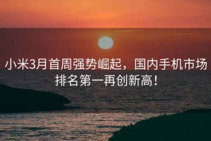 小米3月首周強(qiáng)勢(shì)崛起，國(guó)內(nèi)手機(jī)市場(chǎng)排名第一再創(chuàng)新高！