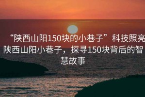 “陜西山陽150塊的小巷子”科技照亮陜西山陽小巷子，探尋150塊背后的智慧故事