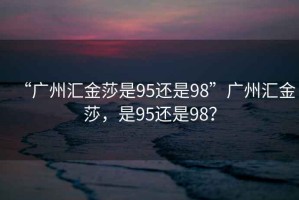 “廣州匯金莎是95還是98”廣州匯金莎，是95還是98？