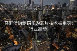 尊湃涉嫌剽竊華為芯片技術(shù)被重罰，行業(yè)震動！