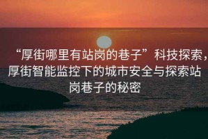 “厚街哪里有站崗的巷子”科技探索，厚街智能監(jiān)控下的城市安全與探索站崗巷子的秘密