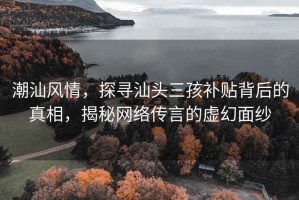 潮汕風(fēng)情，探尋汕頭三孩補(bǔ)貼背后的真相，揭秘網(wǎng)絡(luò)傳言的虛幻面紗
