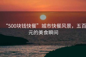 “500塊錢快餐”城市快餐風(fēng)景，五百元的美食瞬間