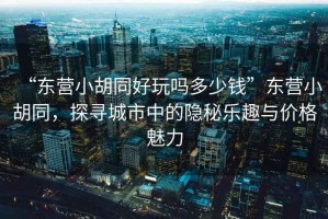 “東營小胡同好玩嗎多少錢”東營小胡同，探尋城市中的隱秘樂趣與價(jià)格魅力