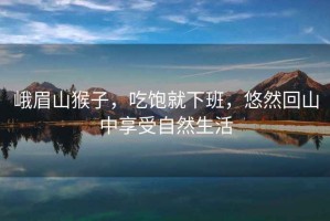 峨眉山猴子，吃飽就下班，悠然回山中享受自然生活