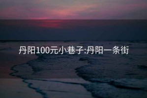 丹陽100元小巷子:丹陽一條街