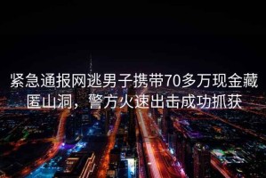緊急通報網(wǎng)逃男子攜帶70多萬現(xiàn)金藏匿山洞，警方火速出擊成功抓獲