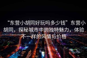 “東營小胡同好玩嗎多少錢”東營小胡同，探秘城市中的獨特魅力，體驗不一樣的風情與價格
