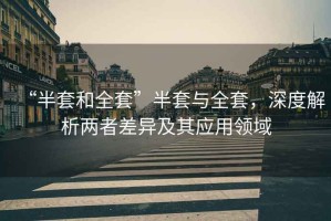 “半套和全套”半套與全套，深度解析兩者差異及其應(yīng)用領(lǐng)域