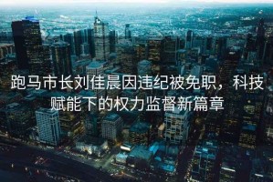 跑馬市長(zhǎng)劉佳晨因違紀(jì)被免職，科技賦能下的權(quán)力監(jiān)督新篇章