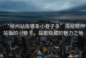 “柳州站街哪條小巷子多”揭秘柳州站街的小巷子，探索隱藏的魅力之地