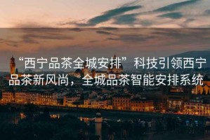 “西寧品茶全城安排”科技引領(lǐng)西寧品茶新風尚，全城品茶智能安排系統(tǒng)