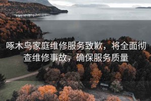 啄木鳥家庭維修服務(wù)致歉，將全面徹查維修事故，確保服務(wù)質(zhì)量