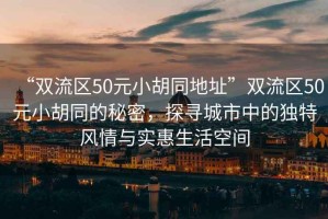 “雙流區(qū)50元小胡同地址”雙流區(qū)50元小胡同的秘密，探尋城市中的獨(dú)特風(fēng)情與實(shí)惠生活空間