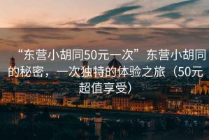 “東營(yíng)小胡同50元一次”東營(yíng)小胡同的秘密，一次獨(dú)特的體驗(yàn)之旅（50元超值享受）
