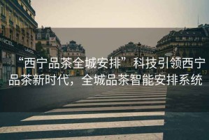 “西寧品茶全城安排”科技引領(lǐng)西寧品茶新時(shí)代，全城品茶智能安排系統(tǒng)