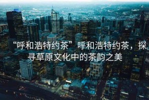 “呼和浩特約茶”呼和浩特約茶，探尋草原文化中的茶韻之美