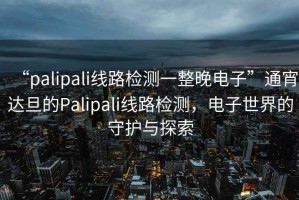 “palipali線路檢測一整晚電子”通宵達旦的Palipali線路檢測，電子世界的守護與探索