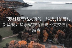“芳村哪有站大街的”科技引領(lǐng)芳村新風(fēng)貌，探索智慧街道與公共交通新站點(diǎn)