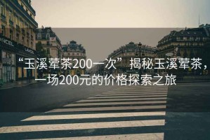 “玉溪葷茶200一次”揭秘玉溪葷茶，一場200元的價格探索之旅