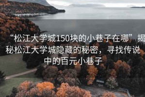 “松江大學(xué)城150塊的小巷子在哪”揭秘松江大學(xué)城隱藏的秘密，尋找傳說(shuō)中的百元小巷子