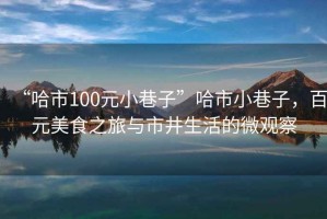 “哈市100元小巷子”哈市小巷子，百元美食之旅與市井生活的微觀察