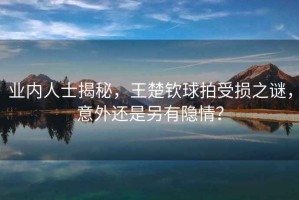業(yè)內(nèi)人士揭秘，王楚欽球拍受損之謎，意外還是另有隱情？