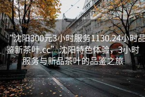 “沈陽300元3小時服務(wù)1130.24小時品鑒新茶葉.cc”沈陽特色體驗，3小時服務(wù)與新品茶葉的品鑒之旅