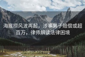 海底撈風(fēng)波再起，涉事男子賠償或超百萬，律師解讀法律困境