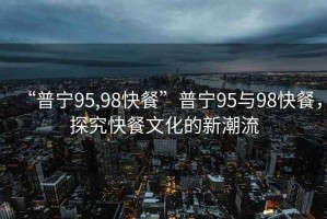 “普寧95,98快餐”普寧95與98快餐，探究快餐文化的新潮流