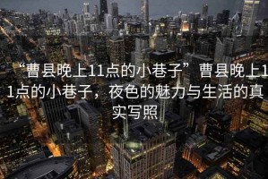 “曹縣晚上11點的小巷子”曹縣晚上11點的小巷子，夜色的魅力與生活的真實寫照