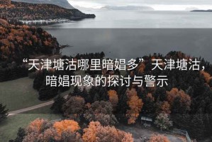 “天津塘沽哪里暗娼多”天津塘沽，暗娼現(xiàn)象的探討與警示