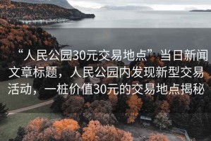 “人民公園30元交易地點”當(dāng)日新聞文章標(biāo)題，人民公園內(nèi)發(fā)現(xiàn)新型交易活動，一樁價值30元的交易地點揭秘