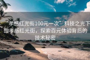 “孝感紅光街100元一次”科技之光下的孝感紅光街，探索百元體驗背后的技術(shù)秘密