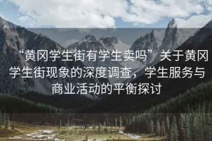 “黃岡學(xué)生街有學(xué)生賣(mài)嗎”關(guān)于黃岡學(xué)生街現(xiàn)象的深度調(diào)查，學(xué)生服務(wù)與商業(yè)活動(dòng)的平衡探討