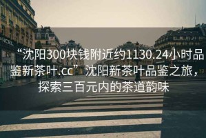 “沈陽300塊錢附近約1130.24小時品鑒新茶葉.cc”沈陽新茶葉品鑒之旅，探索三百元內(nèi)的茶道韻味