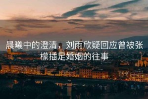 晨曦中的澄清，劉雨欣疑回應(yīng)曾被張檬插足婚姻的往事