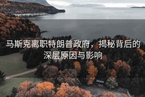 馬斯克離職特朗普政府，揭秘背后的深層原因與影響