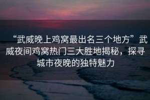 “武威晚上雞窩最出名三個(gè)地方”武威夜間雞窩熱門三大勝地揭秘，探尋城市夜晚的獨(dú)特魅力