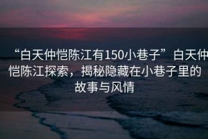“白天仲愷陳江有150小巷子”白天仲愷陳江探索，揭秘隱藏在小巷子里的故事與風(fēng)情