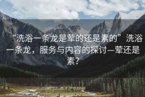 “洗浴一條龍是葷的還是素的”洗浴一條龍，服務(wù)與內(nèi)容的探討—葷還是素？