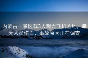內(nèi)蒙古一景區(qū)載3人觀光飛機(jī)墜地，幸無人員傷亡，事故原因正在調(diào)查