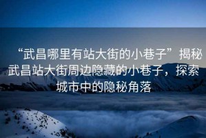 “武昌哪里有站大街的小巷子”揭秘武昌站大街周邊隱藏的小巷子，探索城市中的隱秘角落