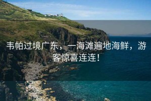 韋帕過(guò)境廣東，一海灘遍地海鮮，游客驚喜連連！