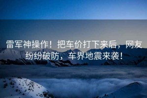 雷軍神操作！把車價(jià)打下來后，網(wǎng)友紛紛破防，車界地震來襲！