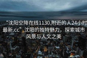 “沈陽空降在線1130.附近的人24小時最新.cc”沈陽的獨特魅力，探索城市風(fēng)景與人文之美