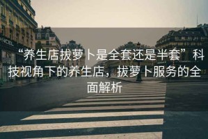 “養(yǎng)生店拔蘿卜是全套還是半套”科技視角下的養(yǎng)生店，拔蘿卜服務(wù)的全面解析
