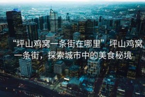 “坪山雞窩一條街在哪里”坪山雞窩一條街，探索城市中的美食秘境
