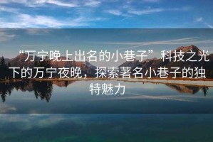 “萬(wàn)寧晚上出名的小巷子”科技之光下的萬(wàn)寧夜晚，探索著名小巷子的獨(dú)特魅力