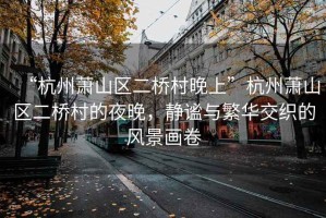 “杭州蕭山區(qū)二橋村晚上”杭州蕭山區(qū)二橋村的夜晚，靜謐與繁華交織的風景畫卷